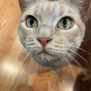 Meet your Posher, Jordan